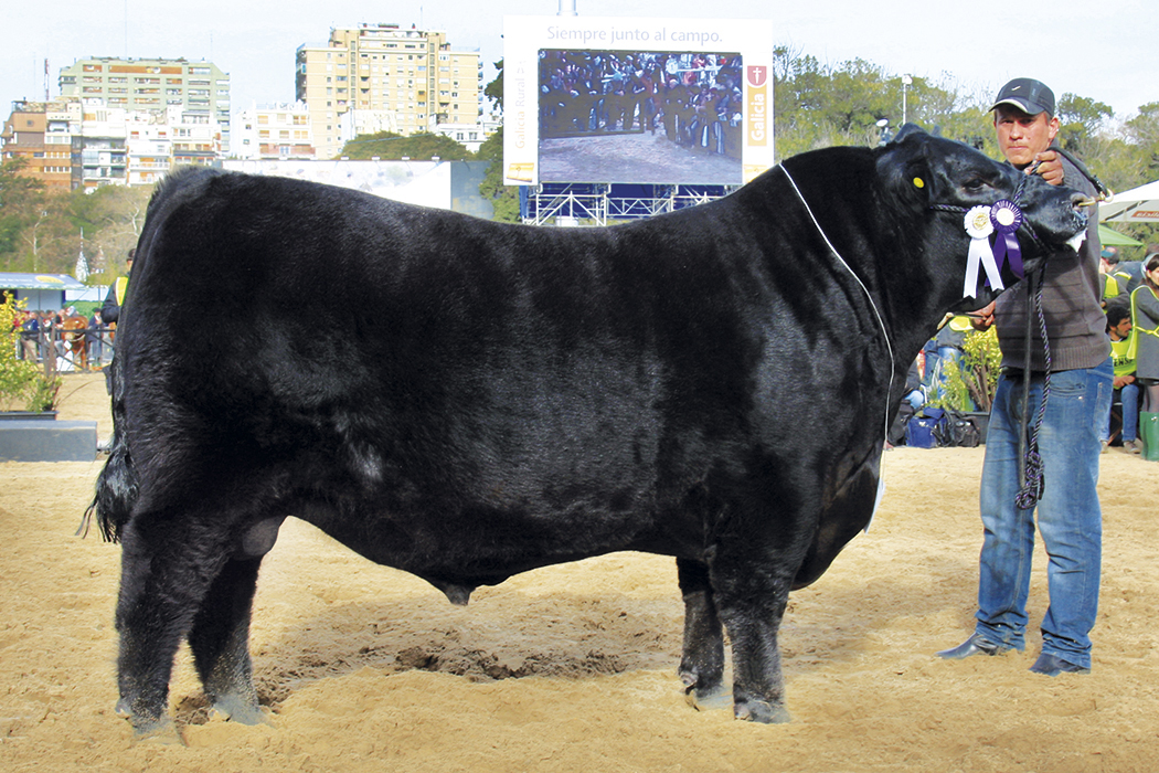 Don Roberto, su padre