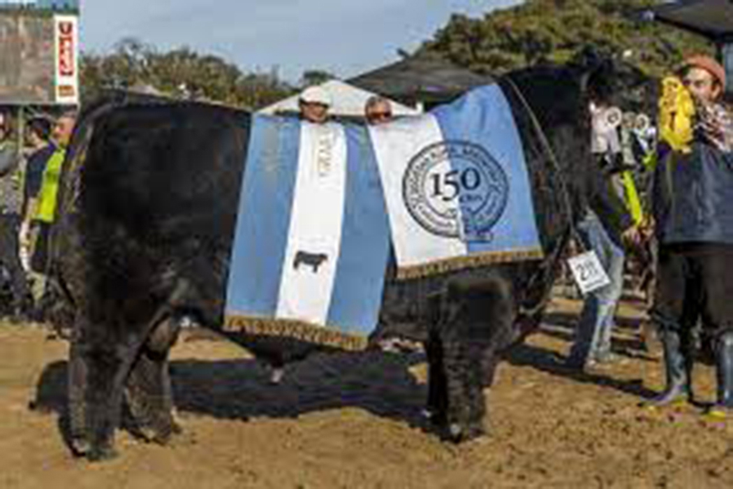 SERRUCHO BIGRANCAMPEON